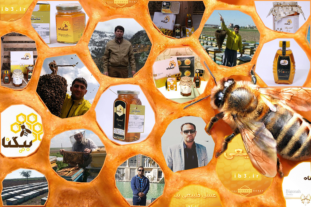 خرید و فروش عسل طبیعی با تضمین استاندارد و غذا و دارو
